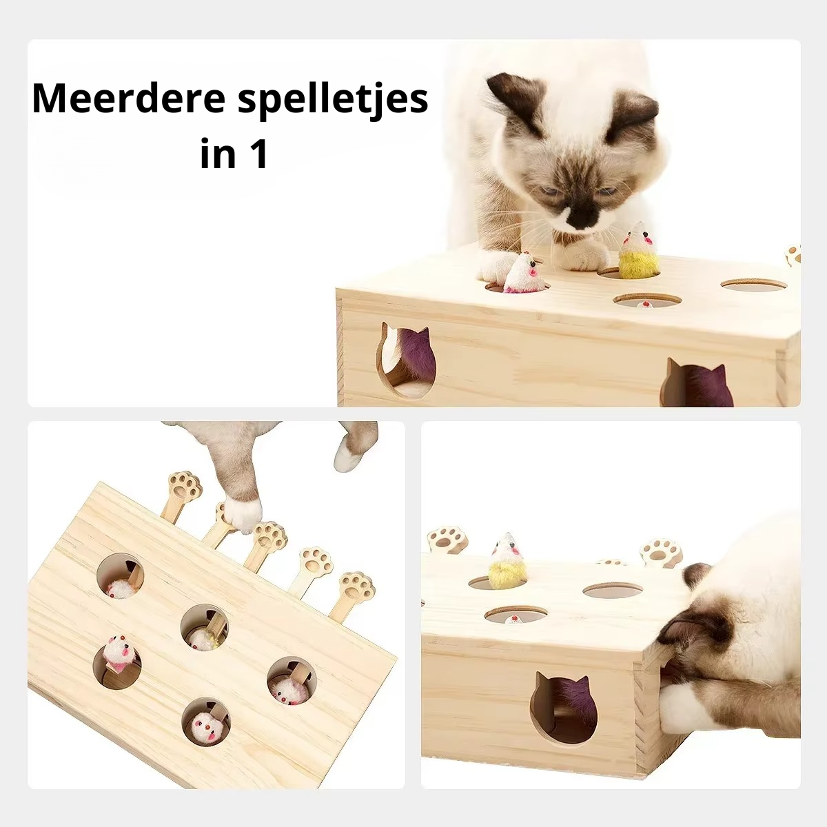 PuslePote Kasse