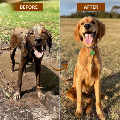 PawShower Pro