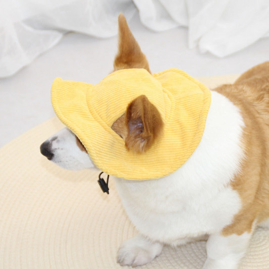 Hundekasket