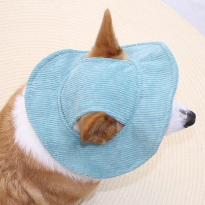 Hundekasket