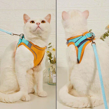 KatWalk