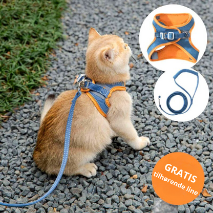 KatWalk