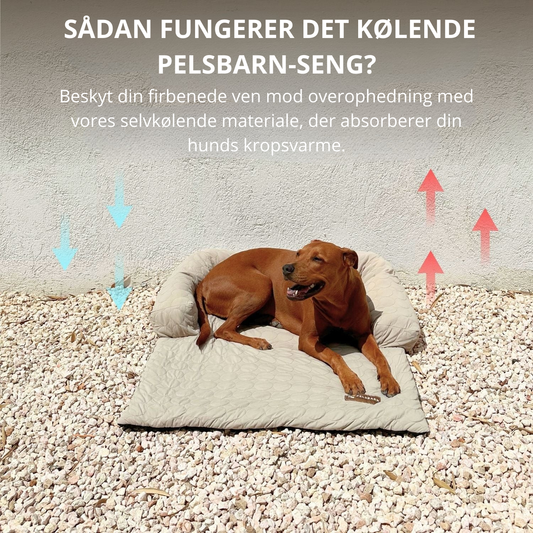 Sommerklar afslapning